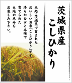茨城県産こしひかり