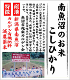 南魚沼のお米こしひかり