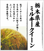 栃木県産ミルキークイーン